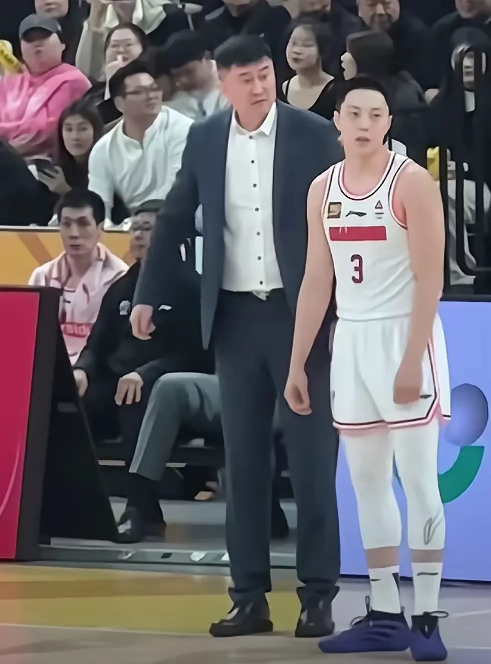 泰蓝是什么意思