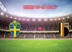 匈牙利和波兰足球