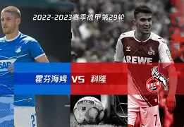 平半盘高手分析技巧